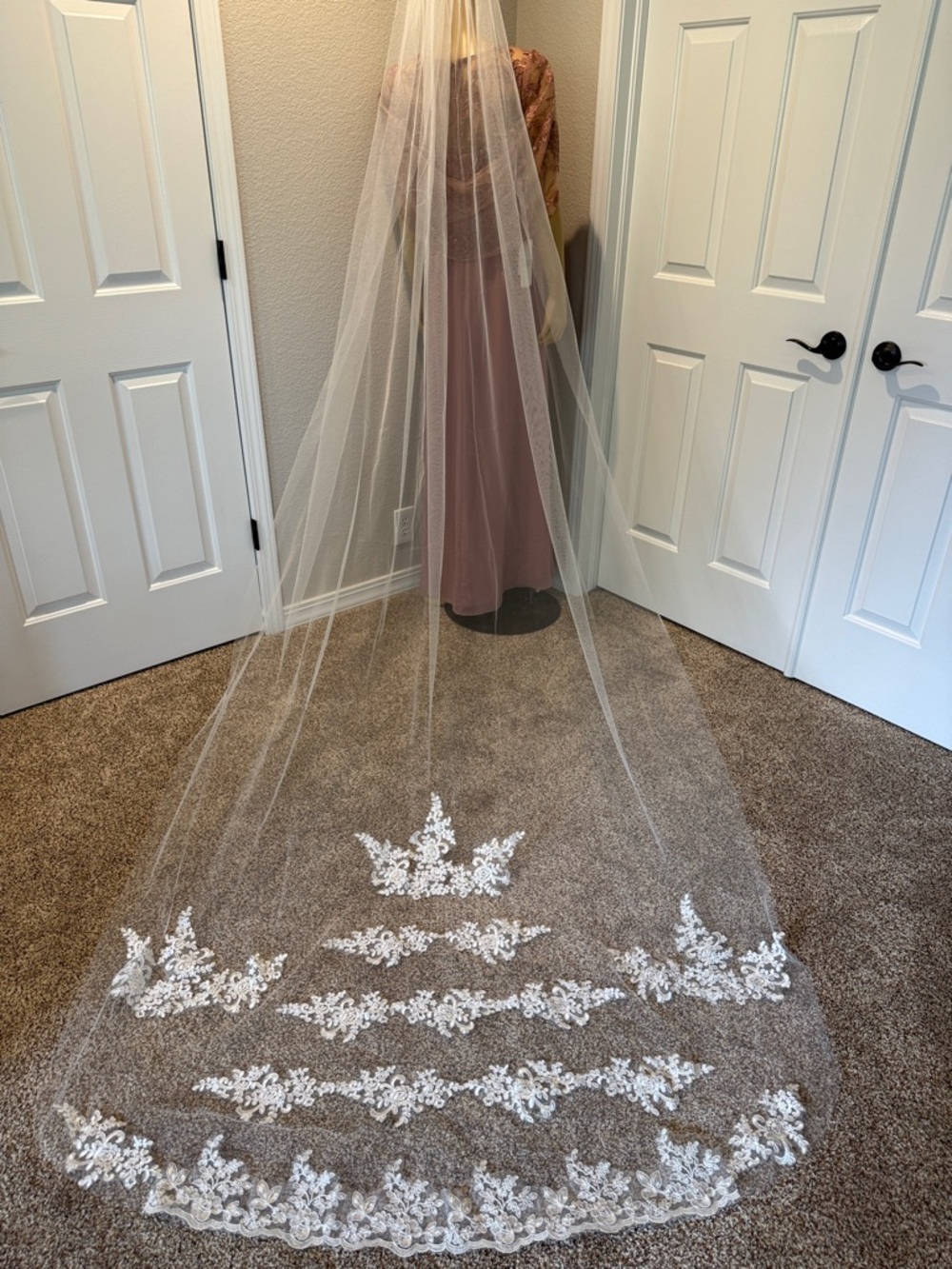 Bridal Veil - Long White with Floral Appliqué Train